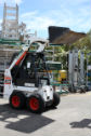 Bobcat